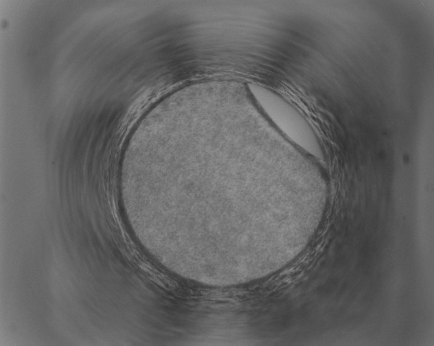 X0000087340241200705181108
