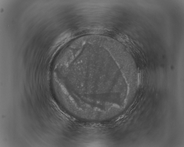 X0000087340243200705181108