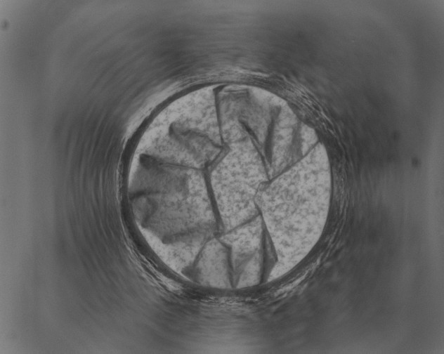 X0000087340244200705181108