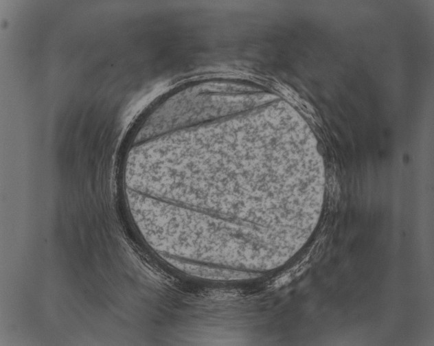 X0000087340248200705181108