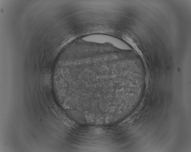 X0000087340249200705181108