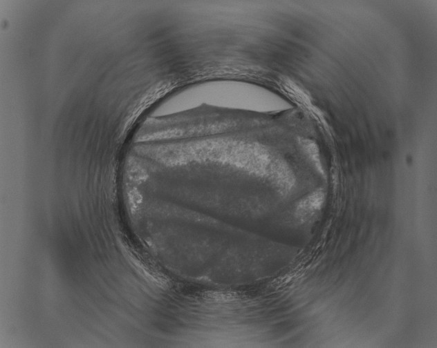 X0000087340250200705181108