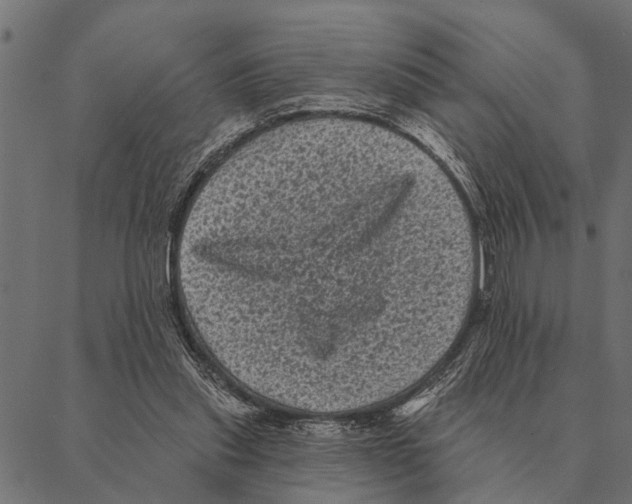 X0000087340253200705181108