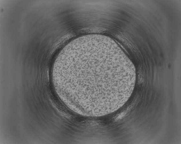 X0000087340254200705181108
