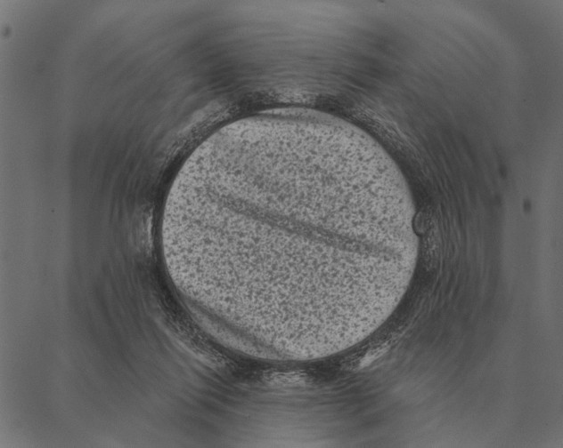 X0000087340262200705181108
