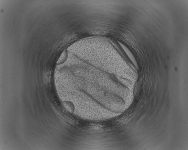 X0000087340263200705181108