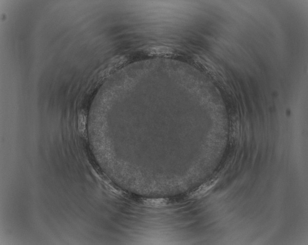 X0000087340281200705181109