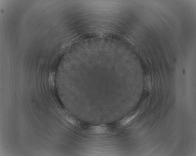 X0000087340286200705181109
