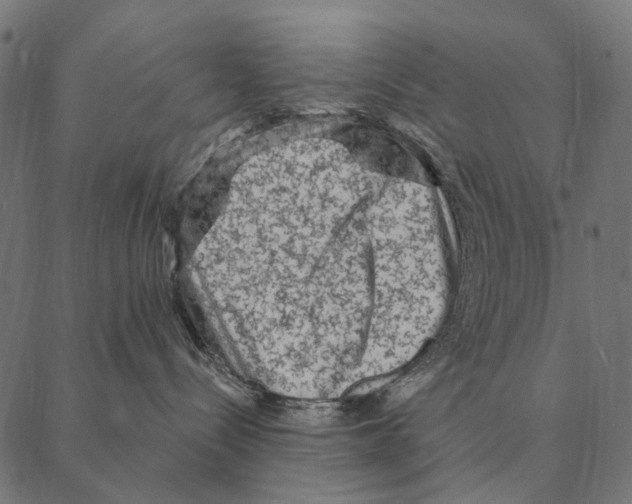 X0000087340288200705181109