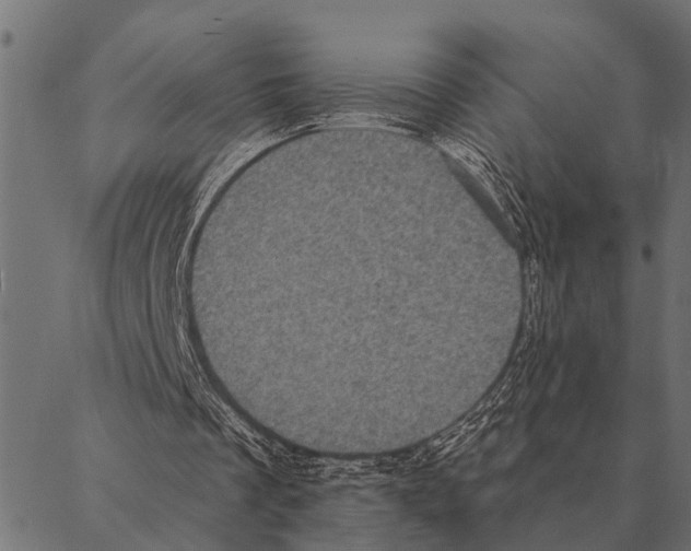 X0000087340289200705181108