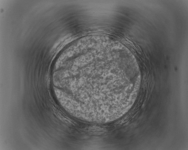 X0000087340290200705181108