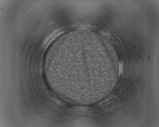 X0000087340291200705181108