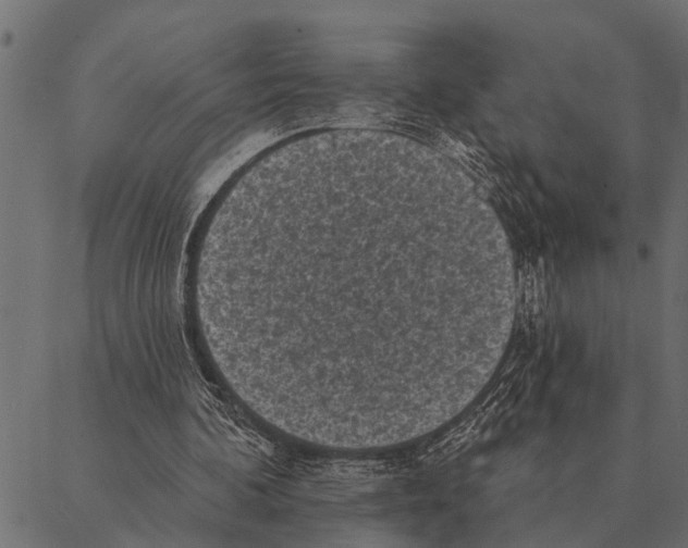 X0000087340292200705181108