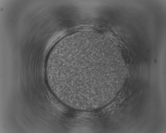 X0000087340293200705181108