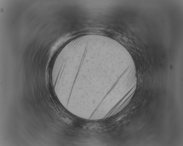 X0000087340294200705181108