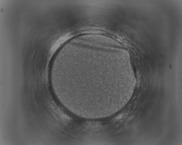 X0000087340296200705181108