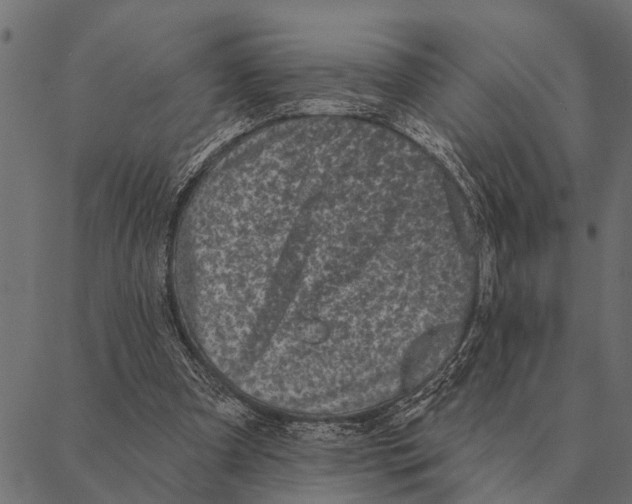 X0000087340297200705181108