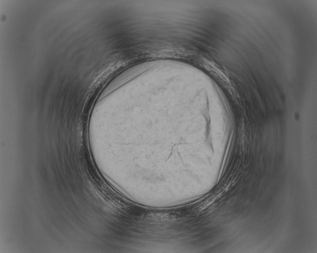 X0000087340298200705181108