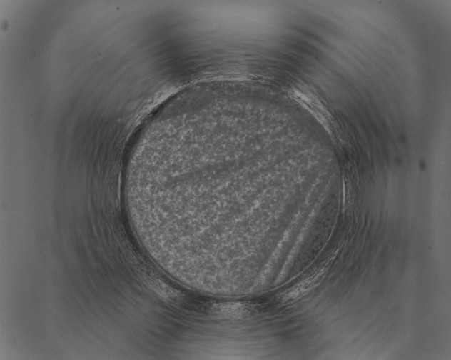 X0000087340301200705181108