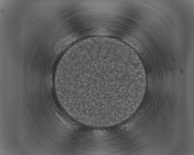 X0000087340302200705181108
