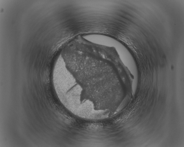 X0000087340303200705181108