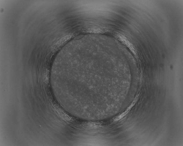 X0000087340305200705181108