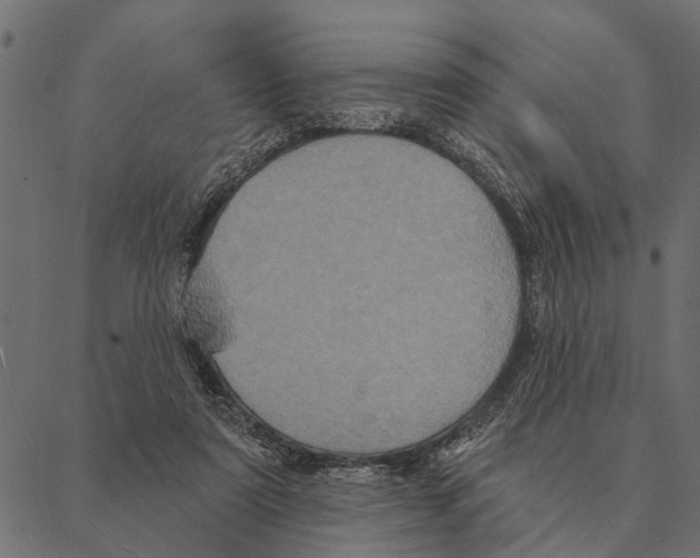 X0000087340307200705181108
