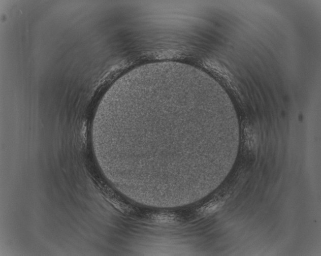 X0000087340308200705181108