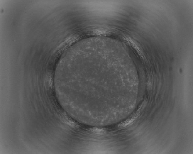 X0000087340313200705181108