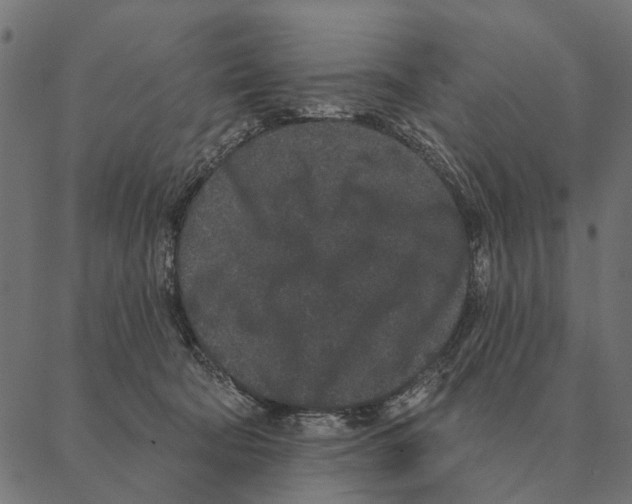 X0000087340322200705181108