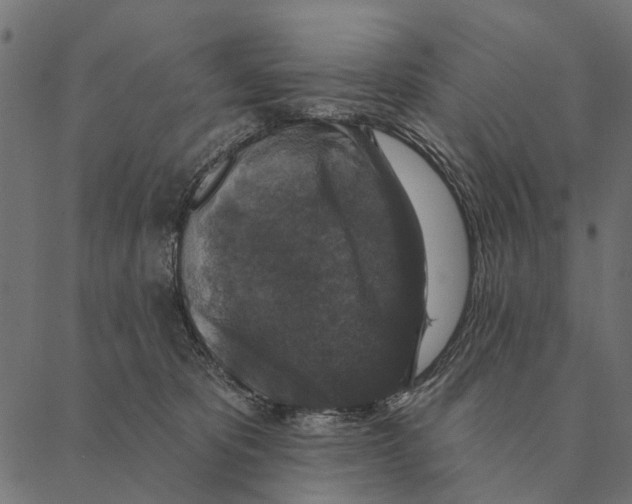 X0000087340325200705181107