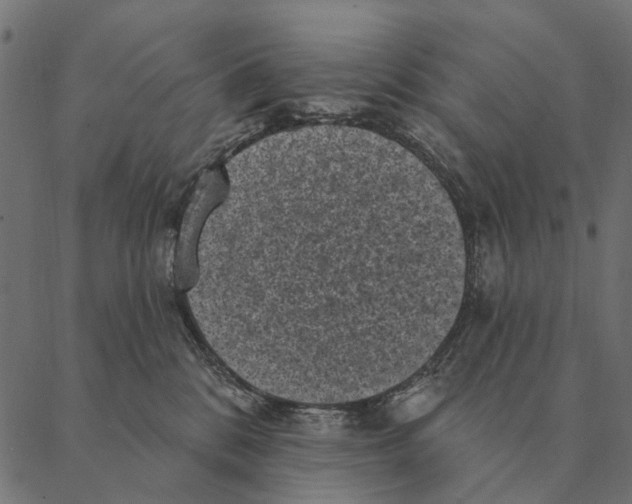 X0000087340328200705181107