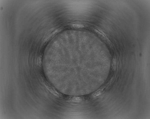 X0000087340330200705181107