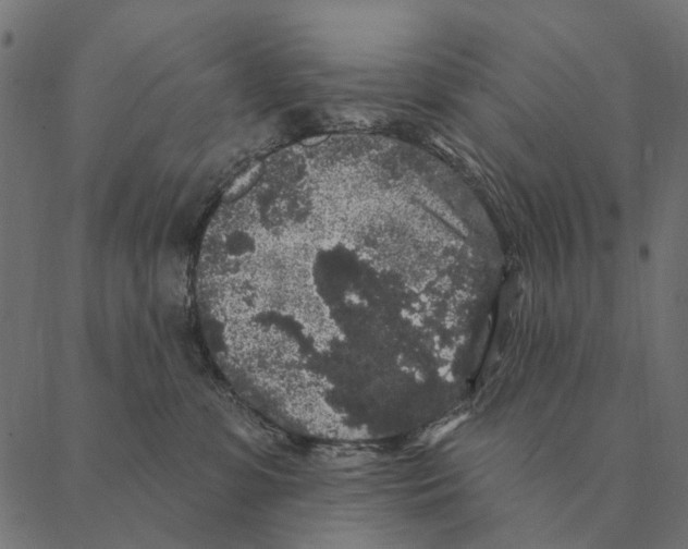 X0000087340331200705181107