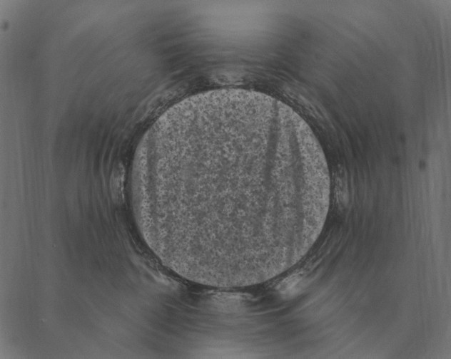 X0000087340332200705181107