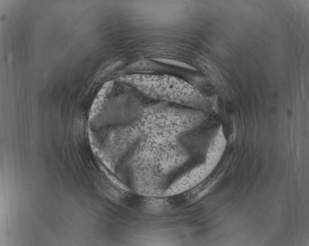 X0000087340333200705181107