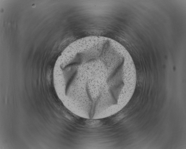 X0000087340334200705181107