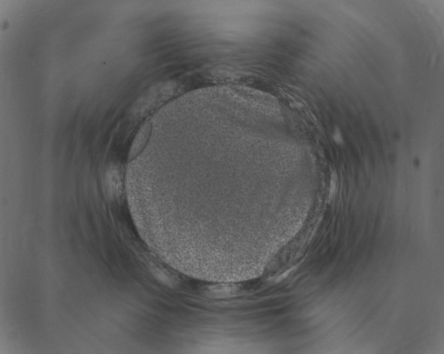 X0000087340335200705181107