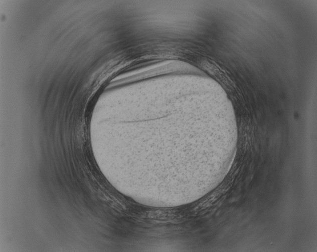 X0000087340338200705181107