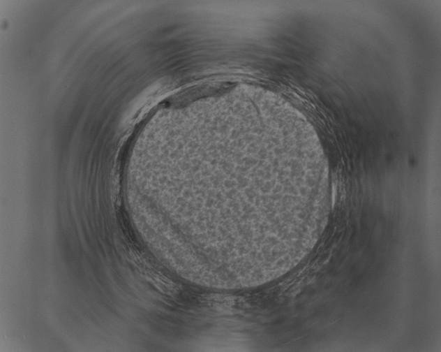 X0000087340339200705181107