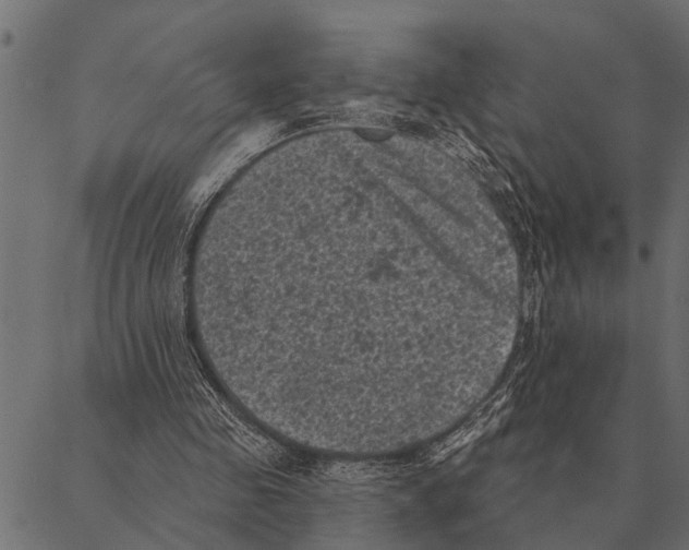 X0000087340341200705181107