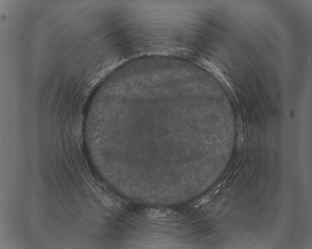 X0000087340346200705181107