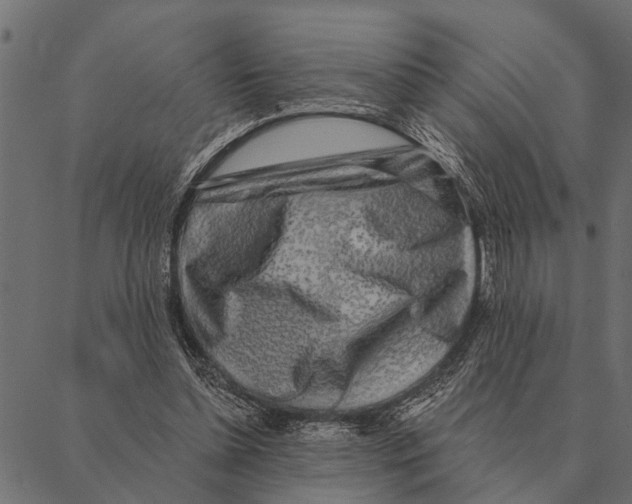 X0000087340348200705181107