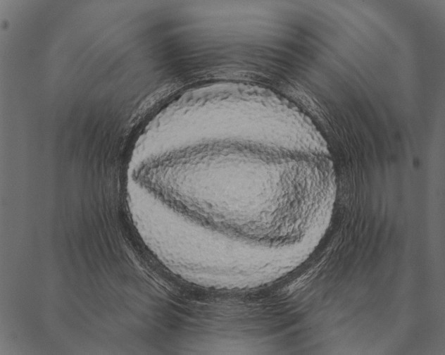 X0000087340349200705181107