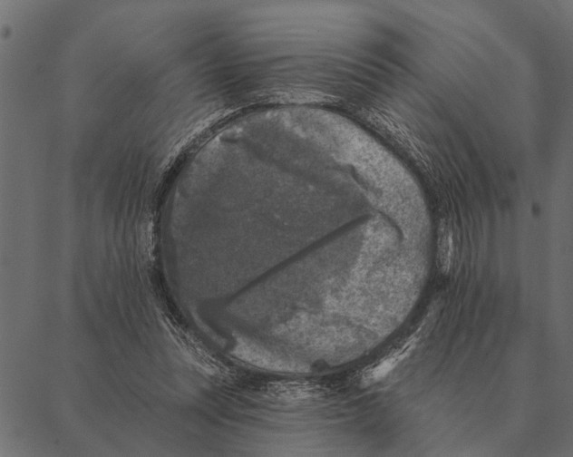 X0000087340351200705181107