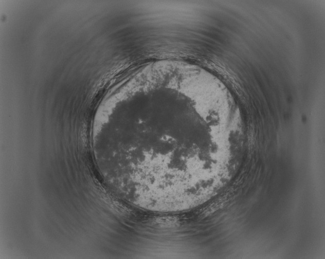 X0000087340353200705181107