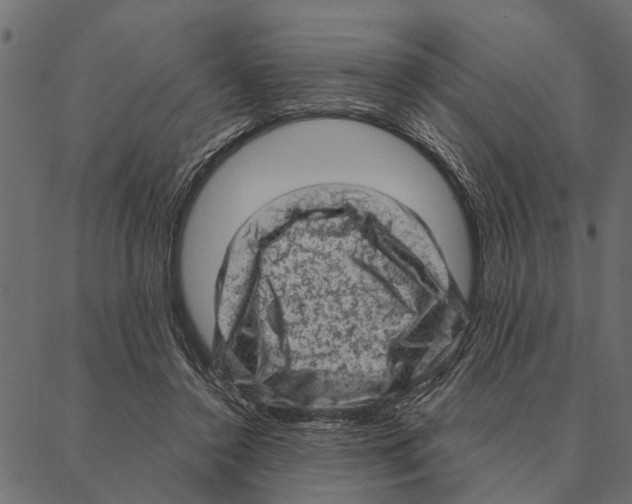 X0000087340356200705181107