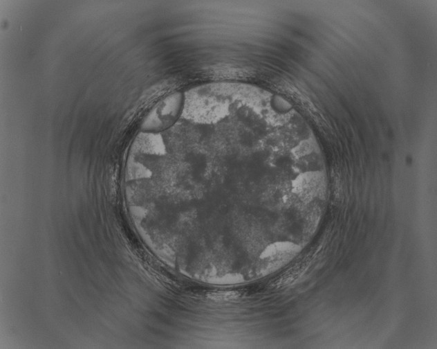 X0000087340357200705181107