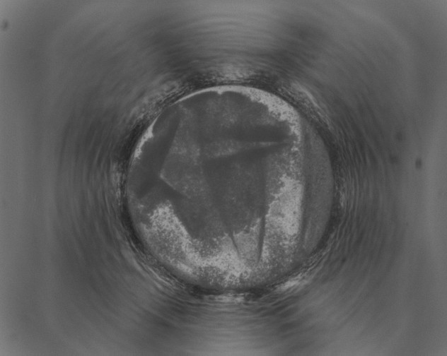 X0000087340366200705181107