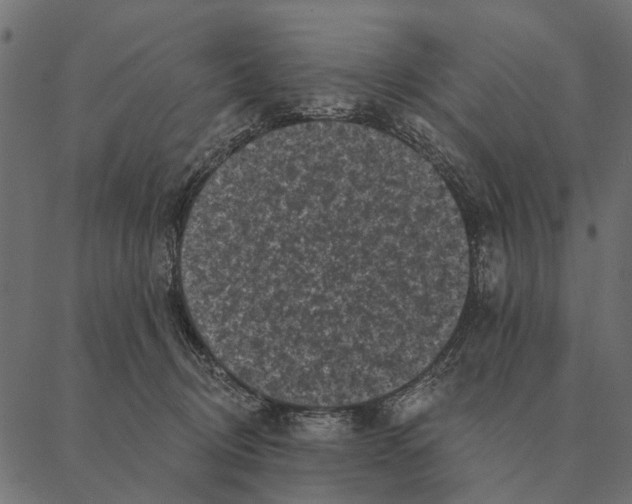 X0000087340370200705181107